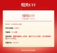 国投电力： 国投电力控股股份有限公司第十二届