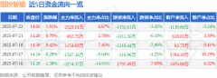 股票行情快报：国投智能（300188）7月22日主力资