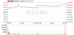 国投智能7月29日打开涨停