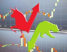 大连商品交易所原木期货和期权上市一周年 市场