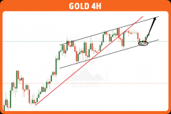 外汇界雪莉：今天要感恩黄金多头了吗？